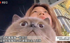 娱乐猫吃瓜,揭秘娱乐圈那些不为人知的幕后故事