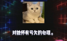 2024娱乐圈八卦吃瓜,揭秘明星幕后秘事与情感纠葛