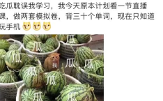 娱乐圈吃瓜大全pdf,吃瓜大全PDF深度解析