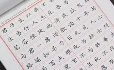 硬笔书法字体,线条之美，传承文化之韵