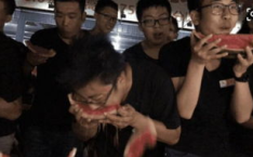 橘子娱乐吃瓜群众,揭秘吃瓜群众背后的娱乐江湖