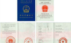 高级卫生专业技术资格考试,关键要点与备考策略