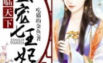 凰临天下盛宠七王妃,凰临天下传奇
