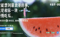 娱乐吃瓜群文案,吃瓜群背后的故事与真相