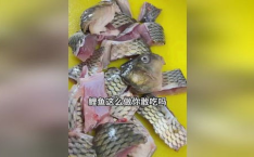 吃瓜娱乐小鲤鱼视频,趣味视频引网友热议