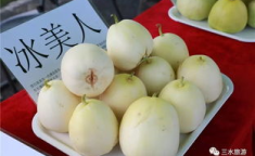 雪梨娱乐吃瓜,揭秘娱乐圈吃瓜背后的真相与内幕