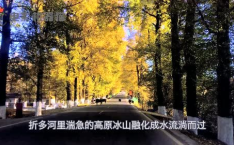 娱乐吃瓜君2,揭秘娱乐圈背后的秘密与八卦