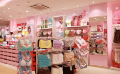 内衣专卖店,时尚与舒适的创业天地