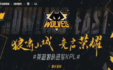 狼队外挂,破坏游戏公平，威胁玩家安全