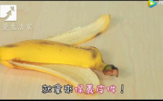 吃瓜不吐香蕉皮娱乐号能,揭秘娱乐圈那些不为人知的幕后故事