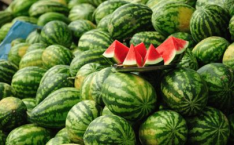 娱乐吃瓜作品怎么做推广,揭秘娱乐吃瓜作品的火爆推广秘籍