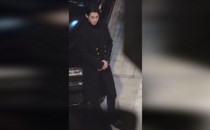 娱乐圈吃瓜王鹤棣,娱乐圈吃瓜王，揭秘明星幕后故事