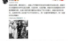 娱乐吃瓜酱侵权事件,揭秘网络红人版权争议背后