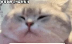 娱乐吃瓜主页,跟随吃瓜主页，畅游八卦海洋